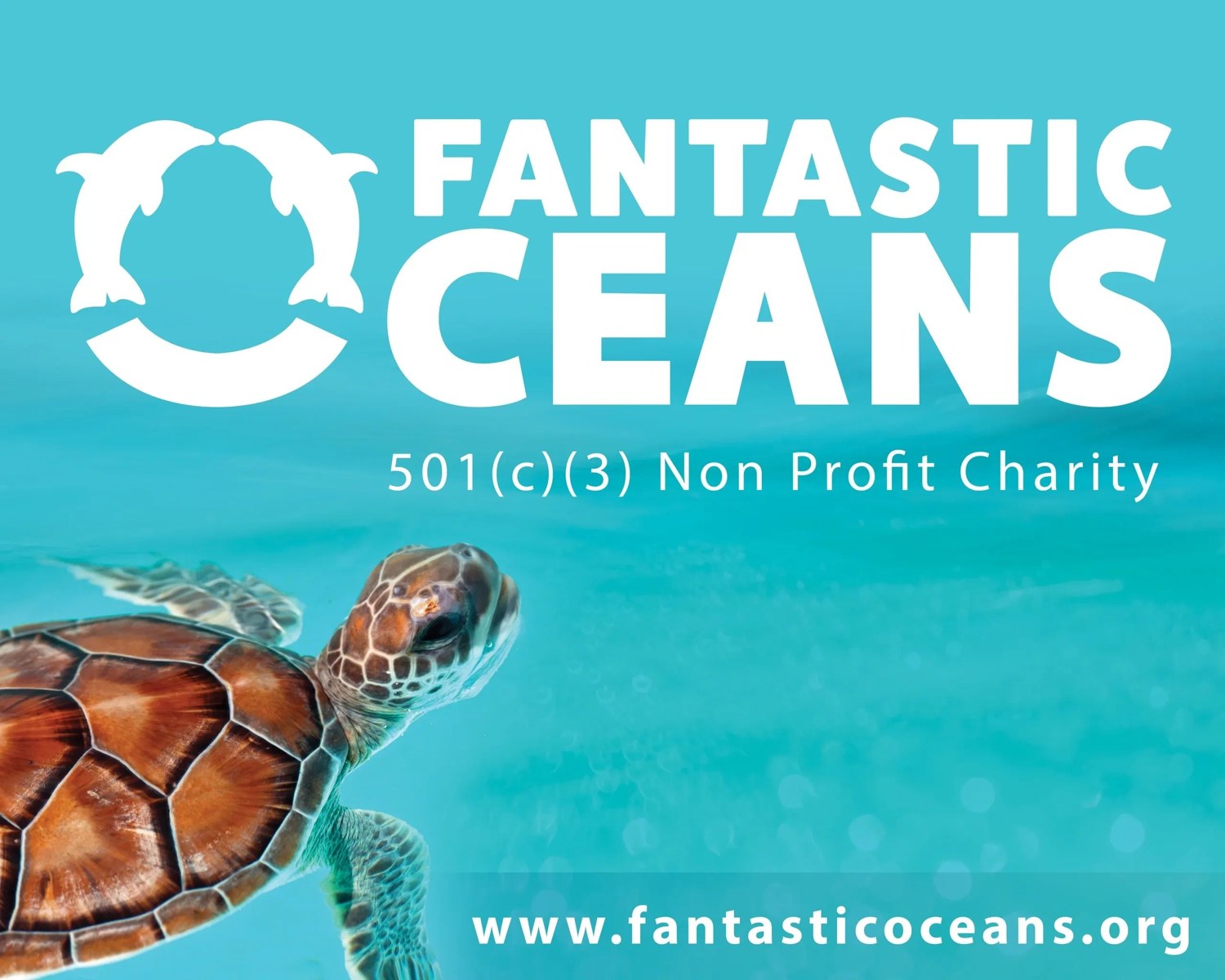 Fantastic Oceans — a 501(c)(3) non-profit charity; a sea turtle in turquoise water beneath the Fantastic Oceans logo